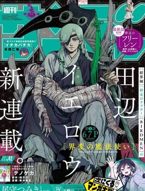 界变的魔法使