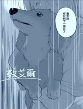 致艾尔